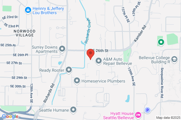 Bellevue Body Shop