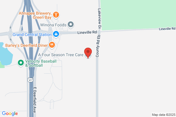 A Four Season Tree Care