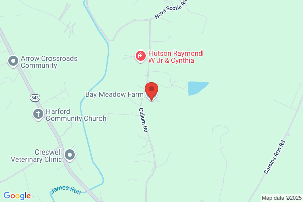 Bay Meadow Equine Inc