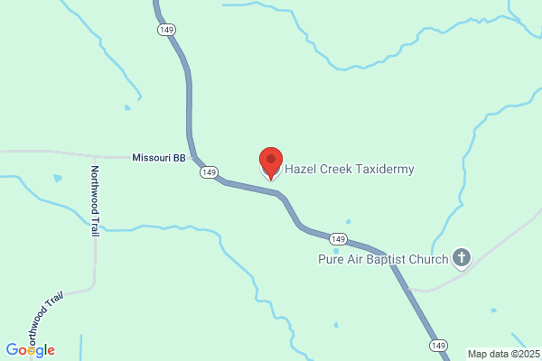 Taxidermy-Hazel Creek Inc