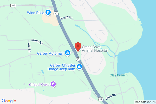 Green Cove Animal Hospital