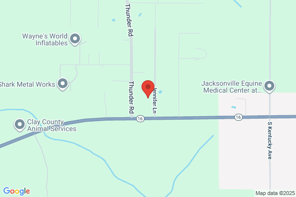 North Florida Auctions