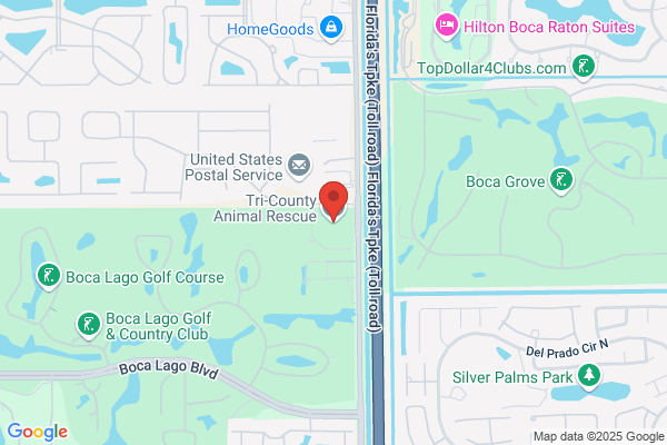 Tri County Animal Shelter & Adoption Ltd