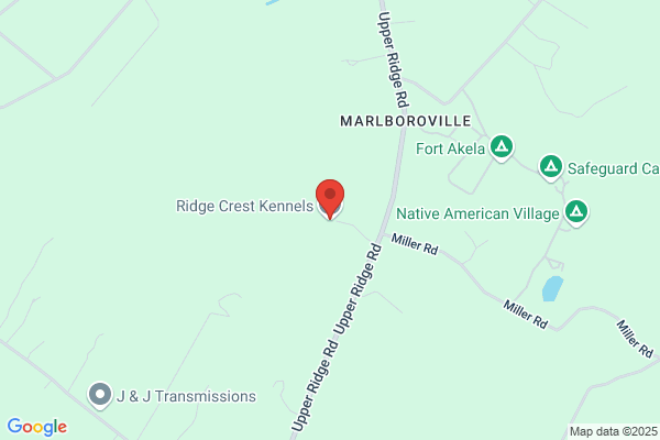 Ridge Crest Kennels