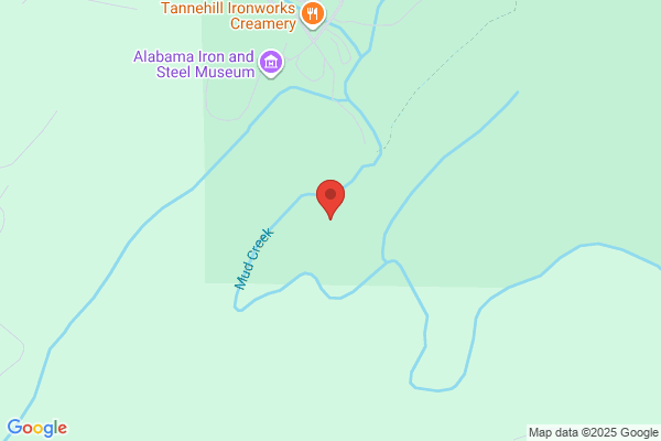 Tannehill Historical State Park, Tannehill