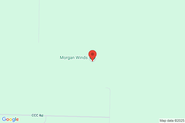 Morgan Landscape