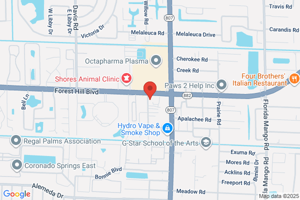 Forest Hill Medical Center