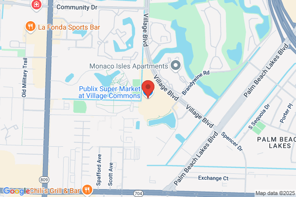 Publix Super Market at Village Commons