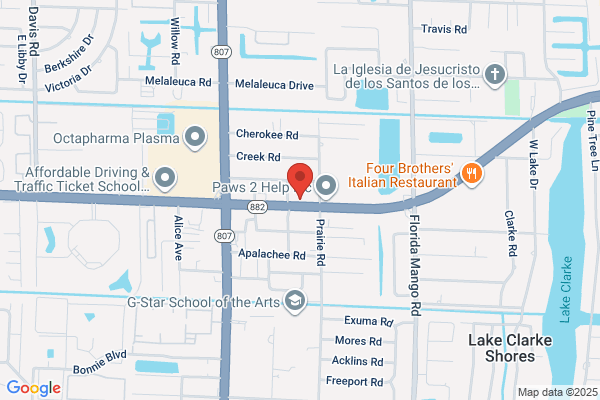 *Polo's Auto Glass -Palm Beach