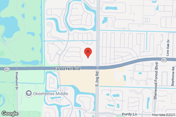All Bird Clinic Of The Palm Beaches