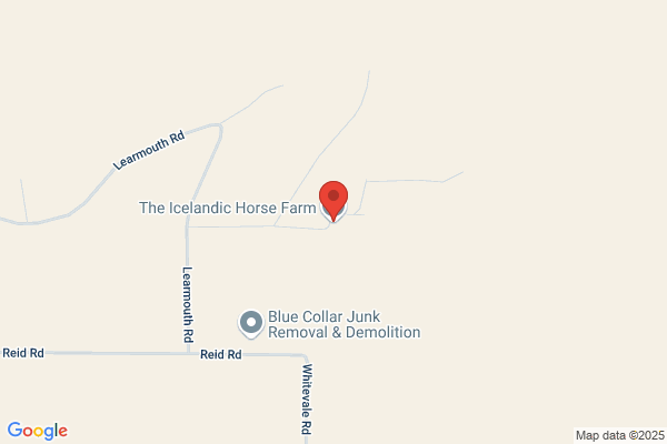 Icelandic Horse Acres Inc