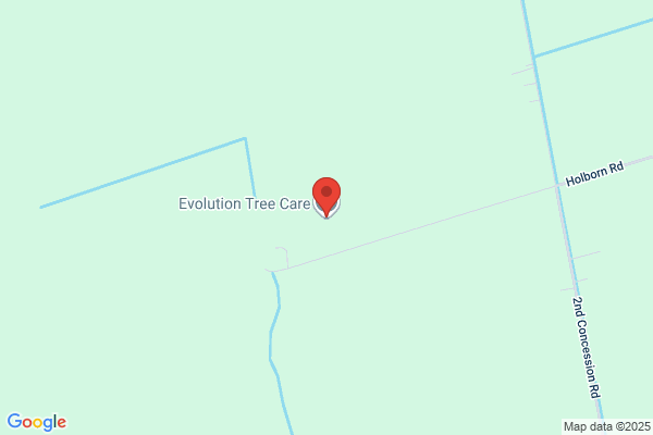 Evolution Tree Service