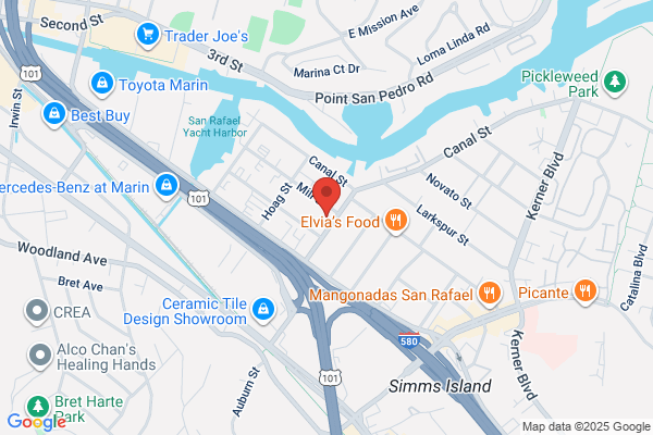 Mount Tam Motors