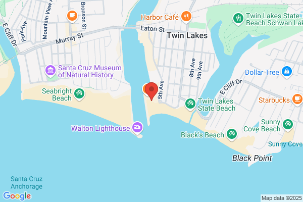 Java Junction Corte Madera