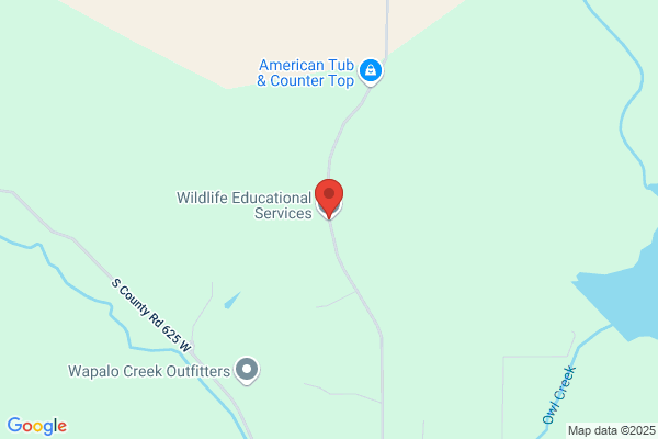 Battsons Wildlife Services