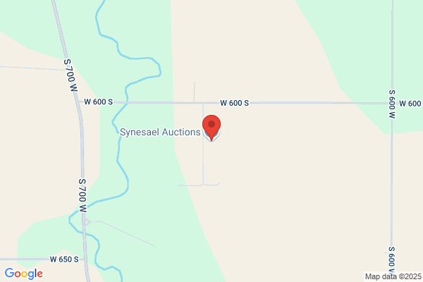 Sellabration Auction Services