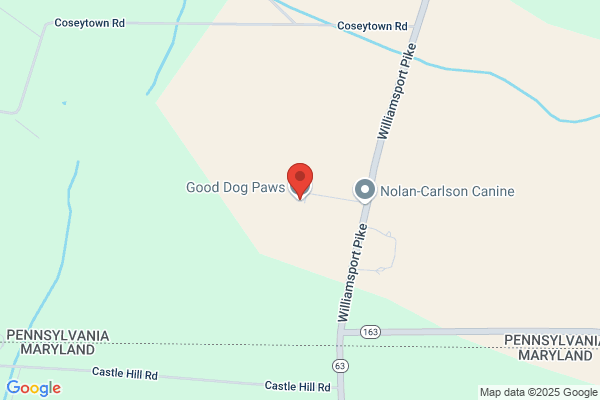 Good Dog Boarding & Training