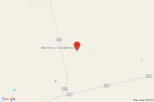 Mortenson's Taxidermy Studio