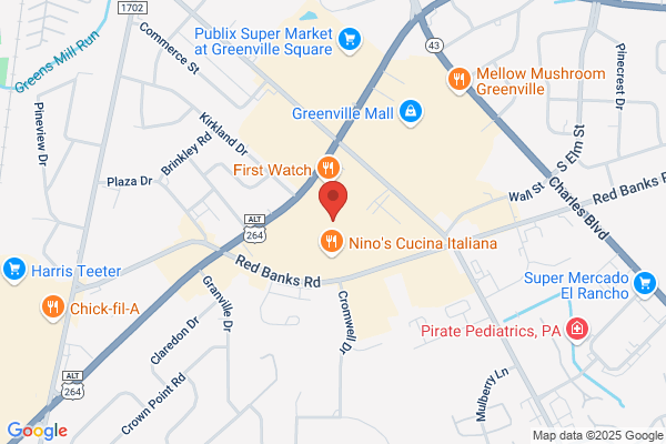 Sprint Store of Greenville