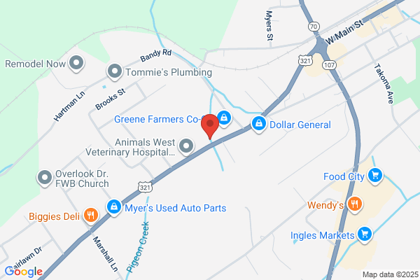 Greeneville Self Storage LLC