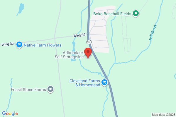 Adirondack Self Storage
