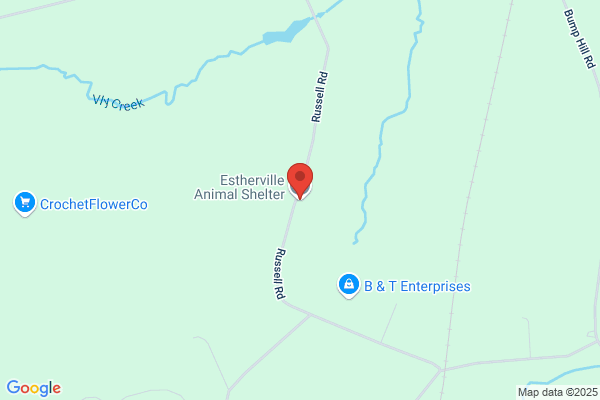 Estherville the Animal Shelter