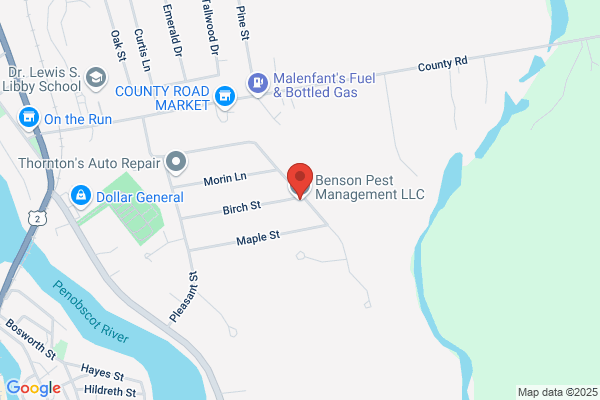 Benson Pest Management