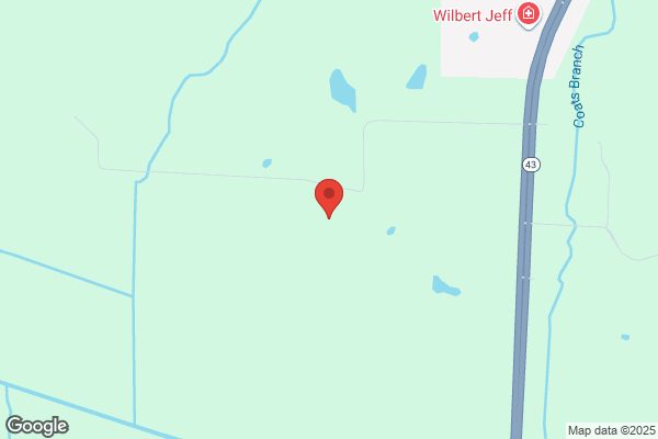 Birdwell Deer Processing