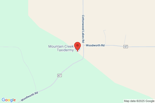 Mountain Creek Taxidermy