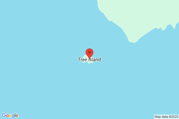 Island Tree Co