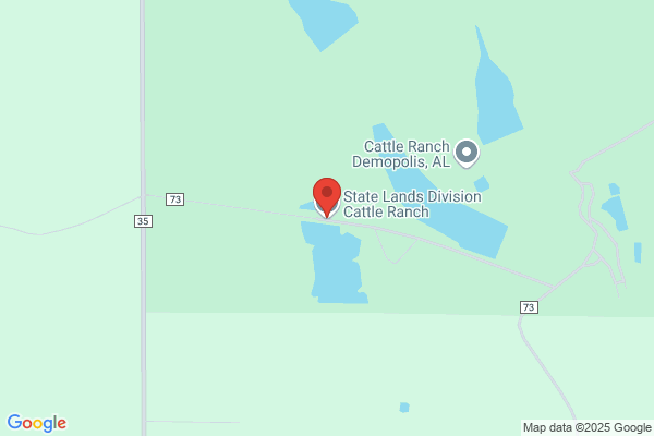 Cherry Cattle Co Inc