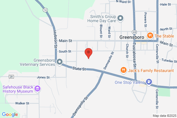 Greensboro Special Education