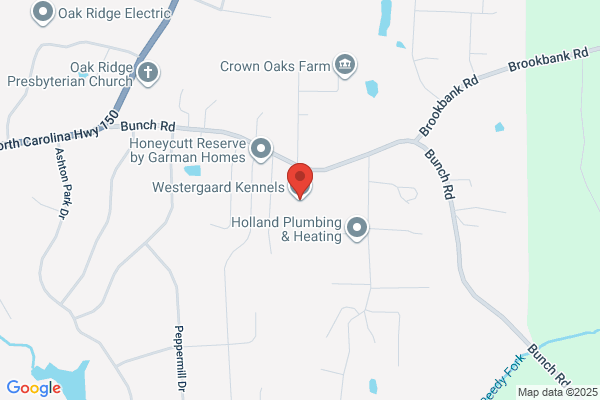 Goldcrest Kennels