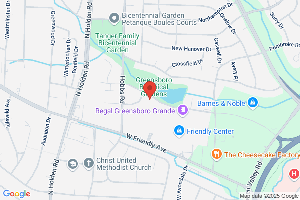 The Joint Chiropractic