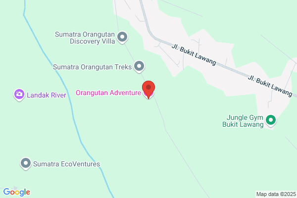 Orangutan Productions