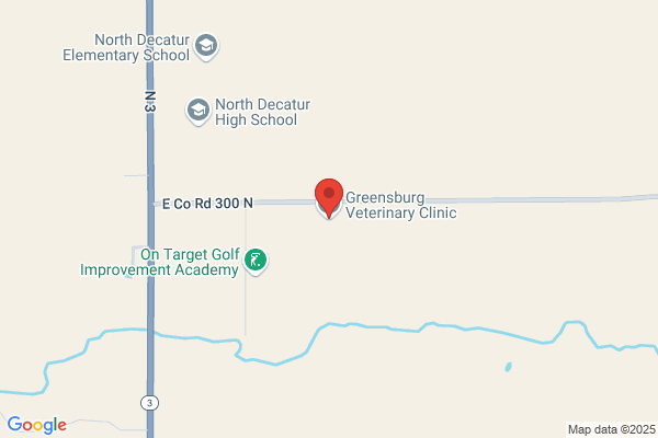 Animal Medical Hospital