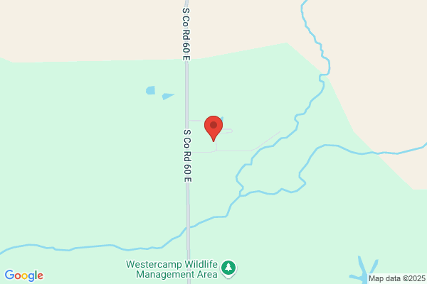 Mozingo Sanitation