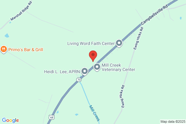 Norton Vascular Surgery