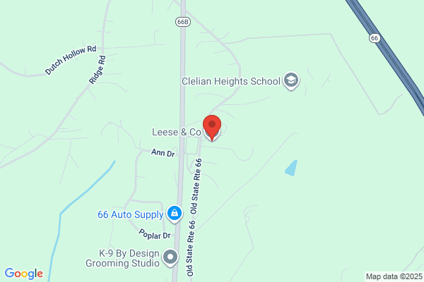 Leese & Co Inc