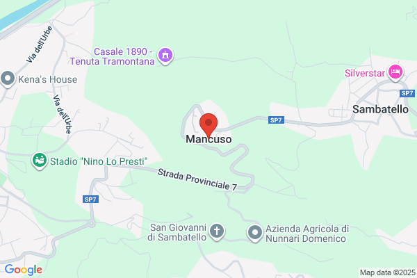 Mancuso's