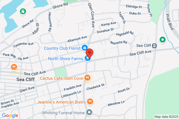 North Shore Auto Sta Inc