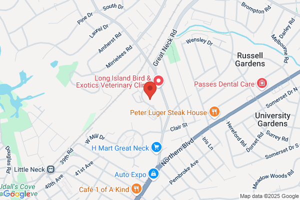 Sobel Glenn J Attorney