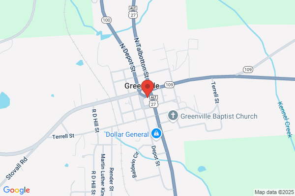 The Fashion