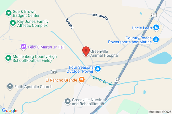 Greenville Animal Hospital PSC