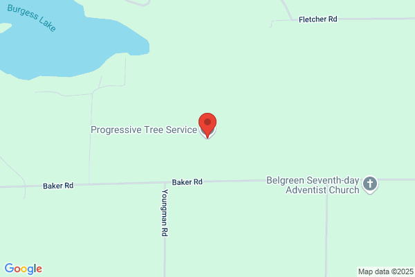 Progressive Tree Service LLC