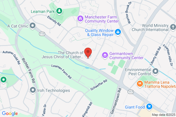 Church of Jesus Christ of Latter Day Saints the
