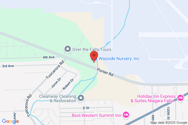 Wayside Nursery