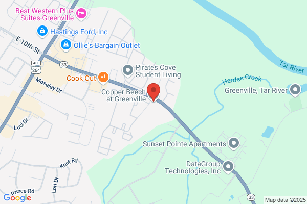 Copper Beech Greenville