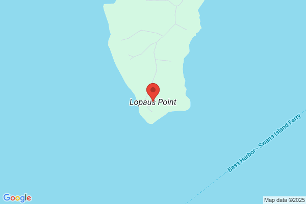 Lopaus Point Market