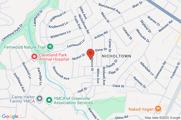 Greenville City of, Community Centers, Nicholtown